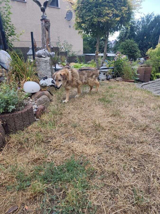 Kaziu Garten