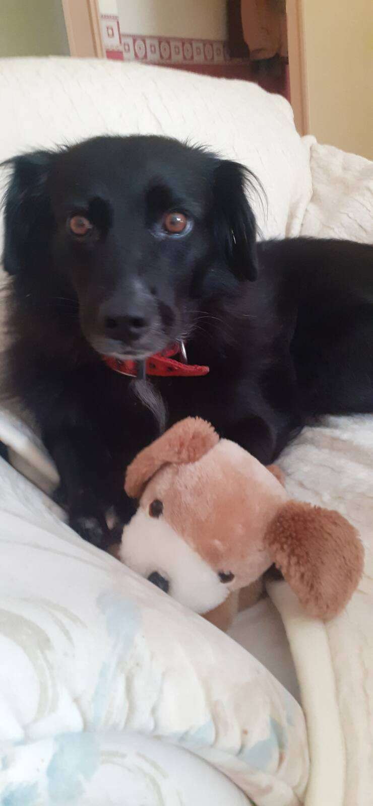 Majka und Teddy
