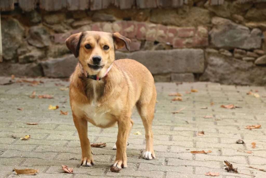 Doris_133_26 (13)