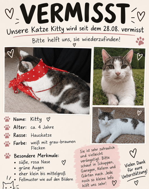 Kitty vermisst